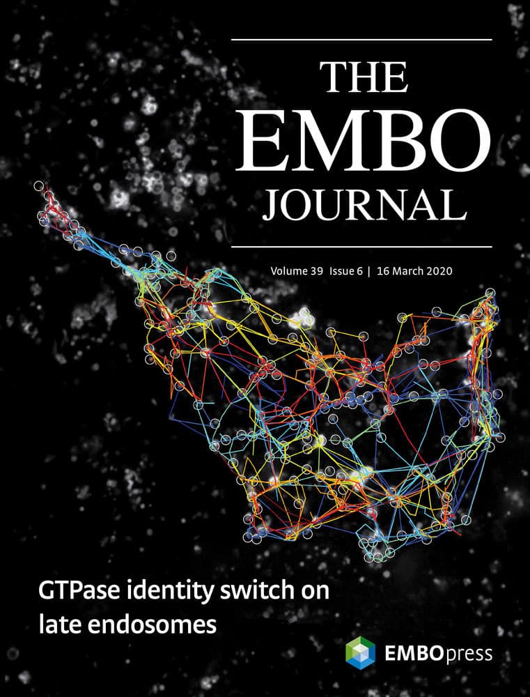 The EMBO Journal Cover March 16 2020